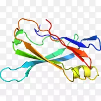 线点生物剪贴画线-空若网 线点生物剪贴画线-空若网