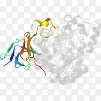 �������������������-������