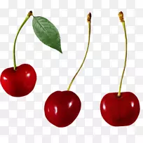 ��ӣ��-������