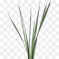 ²©¿ÍÖ²Îï¾¥²ÝÖÜ-¿ÕÈôÍø ²©¿ÍÖ²Îï¾¥²ÝÖÜ-¿ÕÈôÍø