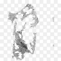 Minguito tinguitella��������������߼�������У����������-ovni-������