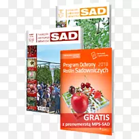 植物出版社(plantpress sp.)零度。?o ogrodnicze四分之一rewizja kwartalna szkó?karstwo悲伤-空若网 植物出版社(plantpress sp.)零度。?o ogrodnicze四分之一rewizja kwartalna szkó?karstwo悲伤-空若网