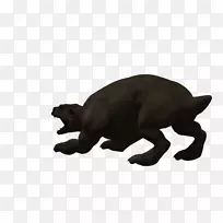 食肉类陆生动物鼻子野生动物-恐龙-空若网 食肉类陆生动物鼻子野生动物-恐龙-空若网