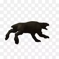 犬科牛犬鼻子陆生动物犬-空若网 犬科牛犬鼻子陆生动物犬-空若网