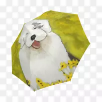 狗鼻子-狗-空若网 狗鼻子-狗-空若网