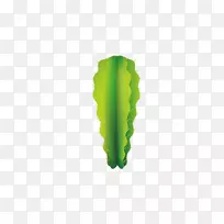 仙人掌-空若网 仙人掌-空若网