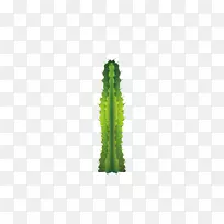绿角图案-仙人掌-空若网 绿角图案-仙人掌-空若网