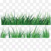 绿色画了两棵灌木丛-空若网 绿色画了两棵灌木丛-空若网