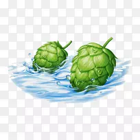 ¼â¶¥ÕëÒ¶×¶²åͼ.ÓÍÆáËɹûºÍÂÌɫˮ-¿ÕÈôÍø ¼â¶¥ÕëÒ¶×¶²åͼ.ÓÍÆáËɹûºÍÂÌɫˮ-¿ÕÈôÍø