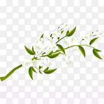 下载图标-白梨-空若网 下载图标-白梨-空若网