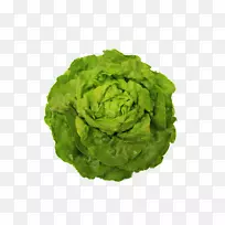 ݫ��ʮ�ֻ����߲˽�ĩɳ��-������