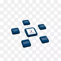 Ʒ�Ƶ������-������