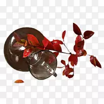 中心博客花卉LiveInternet-花瓶-空若网 中心博客花卉LiveInternet-花瓶-空若网