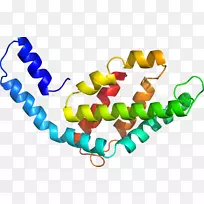 �л��������-������