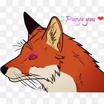 胡须,红狐狸,猫,狗,鼻子,猫-空若网 胡须,红狐狸,猫,狗,鼻子,猫-空若网