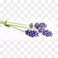 ޹�²���԰��Ӱ.޹�²�-������