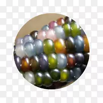 ÓñÃײ£Á§Á£ÖÖ-²£Á§-¿ÕÈôÍø ÓñÃײ£Á§Á£ÖÖ-²£Á§-¿ÕÈôÍø