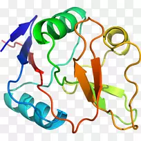 �ߵ������-��-������