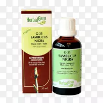 �ڴ�����ʯ����ѿ�����޻���ʳ��-�ڼ���-������