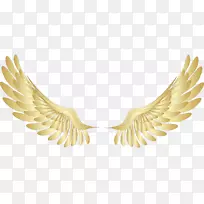 金翼剪贴画-金翼照片-空若网 金翼剪贴画-金翼照片-空若网