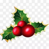 Ê¥µ®½ÚéμÄÉúÌǹûÊÖÒÕ-Ê¥µ®½Ú-¿ÕÈôÍø Ê¥µ®½ÚéμÄÉúÌǹûÊÖÒÕ-Ê¥µ®½Ú-¿ÕÈôÍø