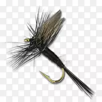 ¼ÙÓ¬³æÓ¬µöÓ¬µêÓ¬-¿ÕÈôÍø ¼ÙÓ¬³æÓ¬µöÓ¬µêÓ¬-¿ÕÈôÍø