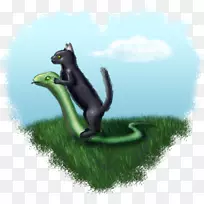 尾跳-空若网 尾跳-空若网