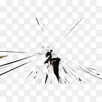 昆虫蝴蝶对称线条艺术图案-昆虫-空若网 昆虫蝴蝶对称线条艺术图案-昆虫-空若网