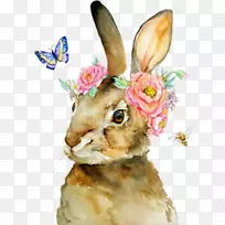 水彩画彼得兔子的故事-空若网 水彩画彼得兔子的故事-空若网