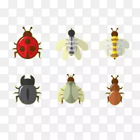 昆虫蜜蜂瓢虫昆虫蝗虫蜜蜂-空若网 昆虫蜜蜂瓢虫昆虫蝗虫蜜蜂-空若网