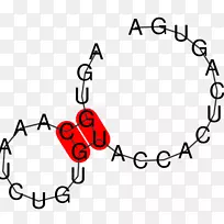 ��Ǽ��������-������