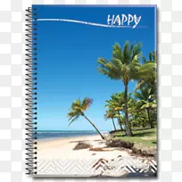 �ʼǱ������۵�ʽ�����߱ʼǱ�-������