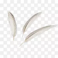 Óðë-Óðë-¿ÕÈôÍø Óðë-Óðë-¿ÕÈôÍø