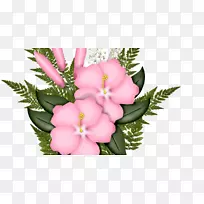 �������ˮ�ʻ��л�-������