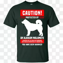 t��ñ����������t��-������