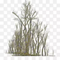 �������ͼ�����.������Ԫ��-������