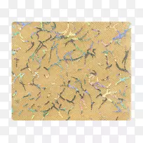 铺席-丝绸材料-空若网 铺席-丝绸材料-空若网