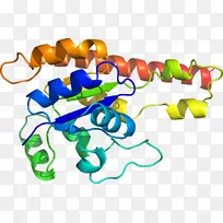 线条有机体珠宝首饰剪贴画线-空若网 线条有机体珠宝首饰剪贴画线-空若网