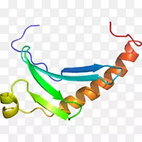 人体珠宝线有机体剪贴画线-空若网 人体珠宝线有机体剪贴画线-空若网