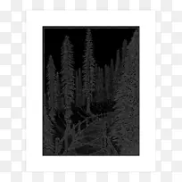 ����ɫ����ͼ��-������