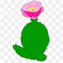 ����Ҷֲ�ﾥ����ֲ��-Ҷ-������