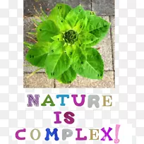 쳲�������ѧ��������ѧ-��ѧ-������