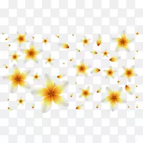 大丽花设计图案-夏威夷蛋花-空若网 大丽花设计图案-夏威夷蛋花-空若网