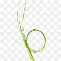 绿色下载图标-美丽的绿草环-空若网 绿色下载图标-美丽的绿草环-空若网