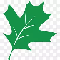 植物茎叶开花植物剪贴画-空若网 植物茎叶开花植物剪贴画-空若网