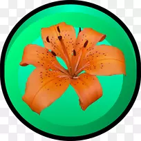 花花-空若网 花花-空若网