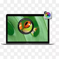 ���ӻ����ܵ�����ʾ��-����-������