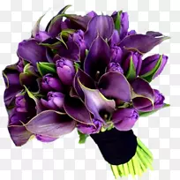 �л�����-������