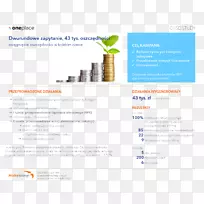 储蓄和投资智慧:投资和个人理财指南-案例研究-空若网 储蓄和投资智慧:投资和个人理财指南-案例研究-空若网