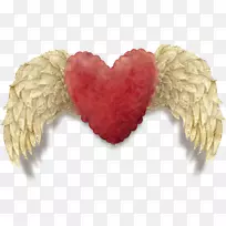 翼红翅膀-空若网 翼红翅膀-空若网